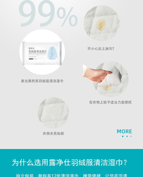 冬季干洗劑 家用免洗去污神器，輕松告別頑固污漬